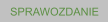 SPRAWOZDANIE
